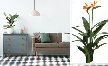 Visualisation du produit