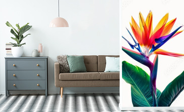 Visualisation du produit