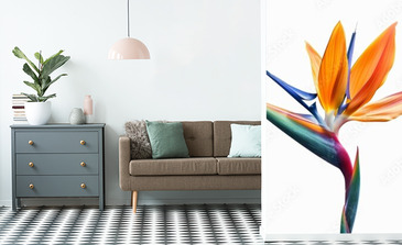 Visualisation du produit