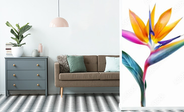 Visualisation du produit