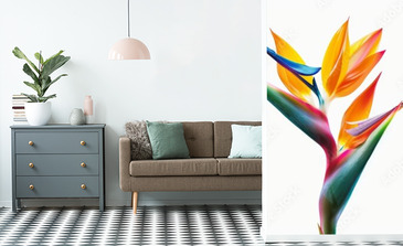 Visualisation du produit