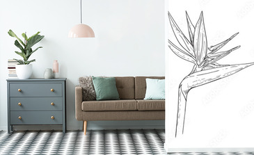 Visualisation du produit