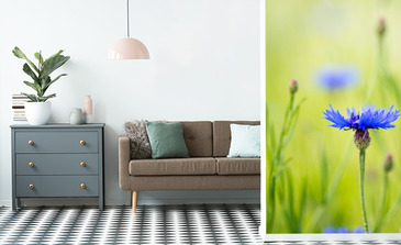 Visualisation du produit