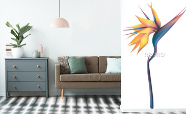 Visualisation du produit