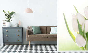 Visualisation du produit