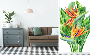 Visualisation du produit