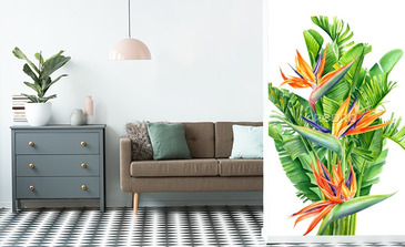 Visualisation du produit