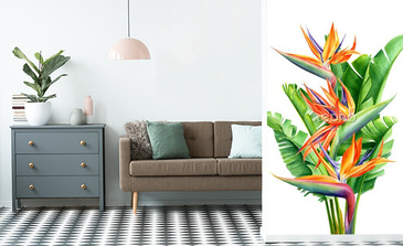 Visualisation du produit