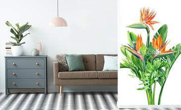 Visualisation du produit