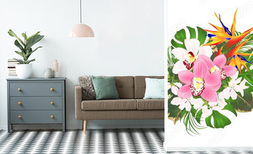 Visualisation du produit