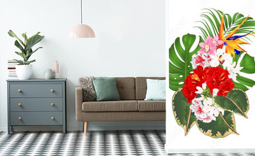 Visualisation du produit