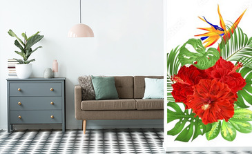 Visualisation du produit