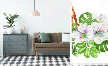 Visualisation du produit