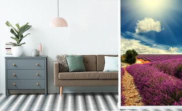 Visualisation du produit