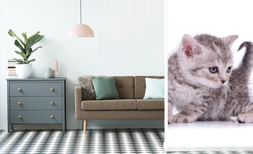 Visualisation du produit