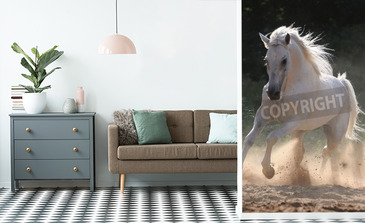 Visualisation du produit