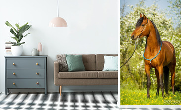 Visualisation du produit