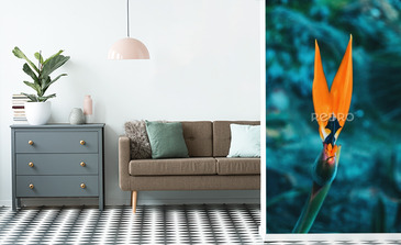 Visualisation du produit