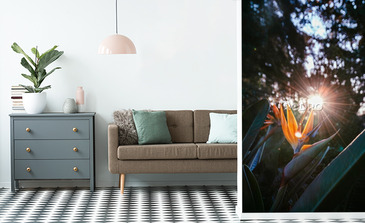 Visualisation du produit