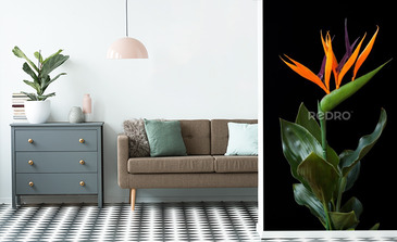 Visualisation du produit