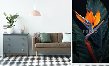 Visualisation du produit