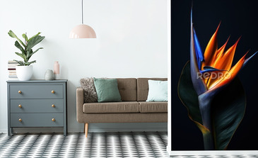 Visualisation du produit