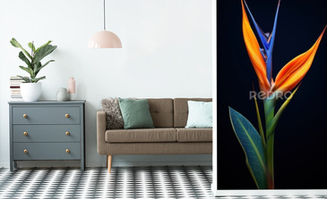 Visualisation du produit