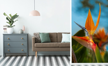 Visualisation du produit