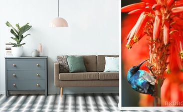 Visualisation du produit