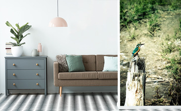 Visualisation du produit