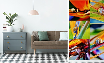 Visualisation du produit