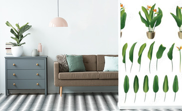 Visualisation du produit