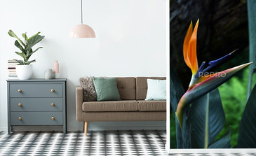 Visualisation du produit