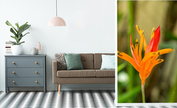 Visualisation du produit