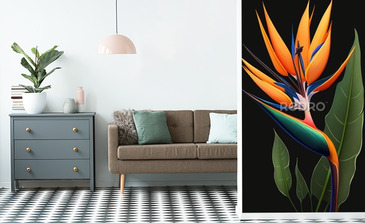 Visualisation du produit