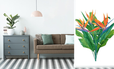 Visualisation du produit