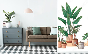 Visualisation du produit