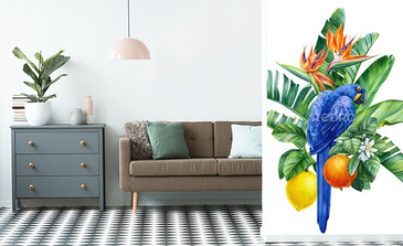 Visualisation du produit