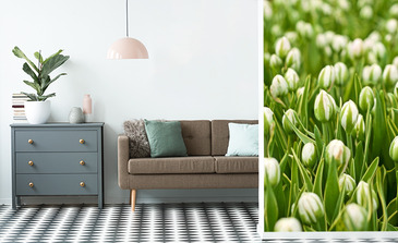 Visualisation du produit