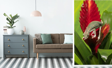 Visualisation du produit