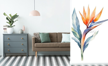 Visualisation du produit