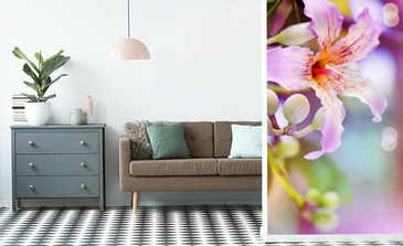 Visualisation du produit