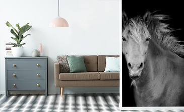 Visualisation du produit