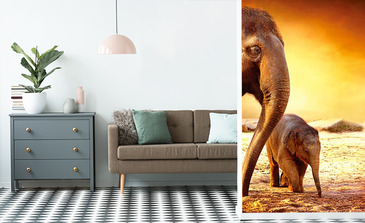 Visualisation du produit