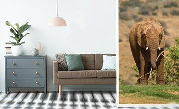 Visualisation du produit