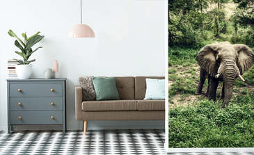 Visualisation du produit