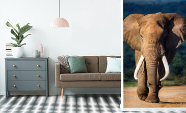 Visualisation du produit