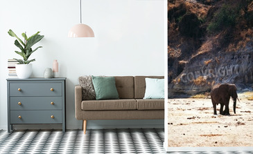 Visualisation du produit