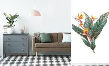 Visualisation du produit