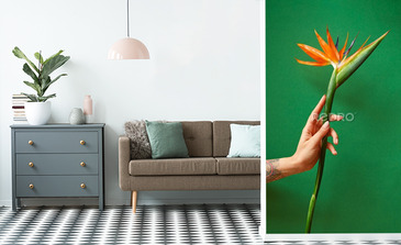 Visualisation du produit